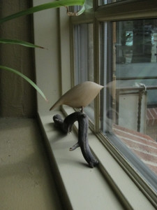 birdwindow